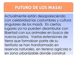 Actualmente están desapareciendo
con celebridad las costumbres y cultura
singulares de los masái. En ciertos
lugares ya no pueden deambular con
libertad con sus animales en busca de
nuevos pastos. Vastas extensiones de
tierra que formaban parte de su
territorio se han transformado en
reservas naturales, en terreno agrícola o
en zona urbanizable donde construir

 