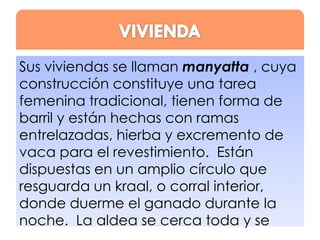Sus viviendas se llaman manyatta , cuya
construcción constituye una tarea
femenina tradicional, tienen forma de
barril y están hechas con ramas
entrelazadas, hierba y excremento de
vaca para el revestimiento. Están
dispuestas en un amplio círculo que
resguarda un kraal, o corral interior,
donde duerme el ganado durante la
noche. La aldea se cerca toda y se

 
