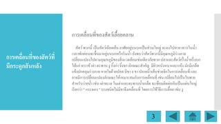 การเคลื่อนที่ของสัตว์เลื้อยคลาน

การเคลือนที่ของสั ตว์ ที่
่
มีกระดูกสั นหลัง

่
สัตว์ พวกนี้ เป็ นสัตว์เลือดเย็น อาศัยอยูบนบกเป็ นส่ วนใหญ่ จะลงไปหาอาหารในน้ า
่
เวลาพักผ่อนจะขึ้นมาอยูบนบกหรื อริ มน้ า ยังพบว่าสัตว์พวกนี้มีอุณหภูมิร่างกาย
เปลี่ยนแปลงไปตามอุณหภูมิของสิ่ งแวดล้อมเช่นเดียวกัยพวก ปลาและสัตว์ครึ่ งน้ าครึ่ งบก
ได้แก่ จระเข้ เต่า ตะพาบ งู กิ้งก่า จิ้งจก ลักษณะสาคัญ มีผวหนังหนาและแห้ง มักมีเกล็ด
ิ
แข็งปกคลุมร่ างกาย หายใจด้วยปอด มีขา 4 ขา ปลายนิ้วเล็บช่วยจิกในการเคลื่อนที่ และ
อาจมีการเปลื่ยนแปลงลักษณะให้เหมาะสมกับการเคลื่อนที่ เช่น เปลี่ยนไปเป็ นใบพาย
สาหรับว่ายน้ า เช่น เต่าทะเล ในเต่าและตะพาบน้ าเกล็ด จะเชื่อมติดต่อกันเป็ นแผ่นใหญ่
เรี ยกว่า " กระดอง " บางชนิดไม่มีขาจึงเคลื่อนที่ โดยการใช้วธีการเลื้อย เช่น งู
ิ

3

 