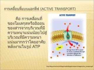 คือ การเคลื่อนที่
ของโมเลกุลหรืออิออน
ของสารจากบริเวณที่มี
ความหนาแน่นน้อยไปสู่
บริเวณที่มีความหนา
แน่นมากกว่าโดยอาศัย
พลังงานในรูป ATP

http://blog.school.net.th/blogs/media/blogs/prasitporn/image/active_transport.gif

 
