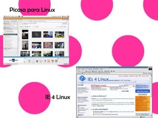 Picasa para Linux
IE 4 Linux