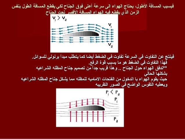 مراجعة لعبة Aviator: تجربة فريدة من نوعها في كازينوهات المغرب