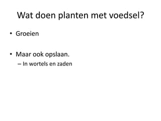 Wat doen planten met voedsel?
• Groeien
• Maar ook opslaan.
– In wortels en zaden
 