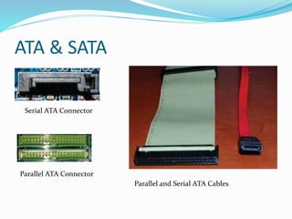 ATA & SATA
Serial ATA Connector
Parallel ATA Connector
Parallel and Serial ATA Cables
 