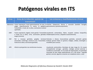 Patógenos virales en ITS
Molecular Diagnostics of Infectious Diseases by Harald H. Kessler 2010
Virus Área de la infección, patrón de
transmisión
Los síntomas y manifestaciones clínicas
Adenovirus Tracto respiratorio, tracto gastrointestinal, los ojos, la
vejiga: específicamente la uretra, la garganta.
Transmitido a través de la saliva, secreciones oculares
y genitales.
Uretritis: Polaquiuria, disuria o secreción (también faringitis,
gastroenteritis, queratoconjuntivitis).
CMV Tracto respiratorio, hígado, tracto genital. Transmitido
a través de la saliva, orina, secreciones genitales,
sangre (viremia).
Usualmente asintomática, fiebre, erupción cutánea inespecífica,
linfadenopatía cervical , (hepatitis ocasionalmente).
HSV Piel y mucosas genitales, ganglios nerviosos
sensoriales: orofaringe, viremia es rara. Transmitido a
través de la saliva, secreciones genitales.
Vesículas o úlceras mucocutáneas genitales, secreción genital,
malestar general fiebre en general, mialgias, cefalea, (meningitis y
encefalitis poco común).
HPV Infecta la piel genital y las membranas mucosas. Usualmente asintomática. Genotipos de bajo riesgo (6​​, 11) causan
principalmente verrugas genitales, citología cervical anormal, o
condilomas acuminados. En la prueba de Papanicolaou, los genotipos
anormales de alto riesgo (especialmente 16 y 18) causan sangrado
genital y cervical, algunos se asocian con neoplasias vulvar, o anal.
 