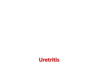 Uretritis
 