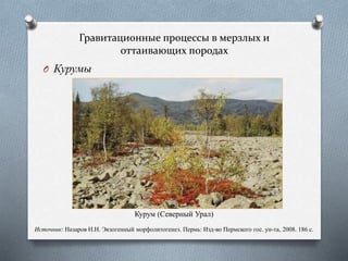 Гравитационные процессы в мерзлых и
оттаивающих породах
O Курумы
Курум (Северный Урал)
Источник: Назаров Н.Н. Экзогенный морфолитогенез. Пермь: Изд-во Пермского гос. ун-та, 2008. 186 с.
 