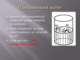 Існуючі сили намагаються
скоротити площу поверхні
до мінімуму
 Сили напрямлені до межі
самої поверхні і по дотичній
до неї
 Сума цих сил – сила
поверхневого натягу
 