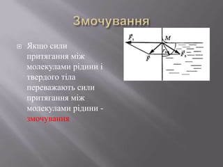  Якщо сили
притягання між
молекулами рідини і
твердого тіла
переважають сили
притягання між
молекулами рідини -
змочування
 
