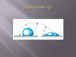лекція5.1