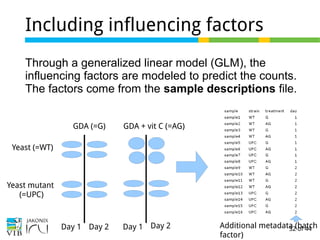 32 of 44
Including influencing factors
Through a generalized linear model (GLM), the
influencing factors are modeled to predict the counts.
The factors come from the sample descriptions file.
Yeast (=WT)
GDA (=G)
Yeast mutant
(=UPC)
GDA + vit C (=AG)
Additional metadata (batch
factor)
Day 1 Day 1Day 2 Day 2
 