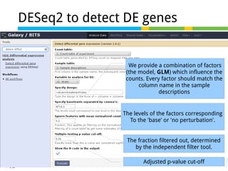 33 of 44
DESeq2 to detect DE genes
We provide a combination of factors
(the model, GLM) which influence the
counts. Every factor should match the
column name in the sample
descriptions
The levels of the factors corresponding
To the 'base' or 'no perturbation'.
The fraction filtered out, determined
by the independent filter tool.
Adjusted p-value cut-off
 