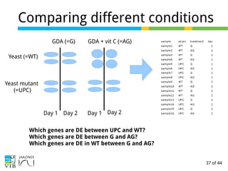 37 of 44
Comparing different conditions
Yeast (=WT)
GDA (=G)
Yeast mutant
(=UPC)
GDA + vit C (=AG)
Day 1 Day 1Day 2 Day 2
Which genes are DE between UPC and WT?
Which genes are DE between G and AG?
Which genes are DE in WT between G and AG?
 