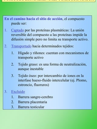 TOXICOLOGÍA AMBIENTAL: TOXICODINÁMICA
En el camino hacia el sitio de acción, el compuesto
puede ser:
1. Captado por las proteínas plasmáticas: La unión
reversible del compuesto a las proteínas impide la
difusión simple pero no limita su transporte activo.
2. Transportado hacia determinados tejidos:
1. Hígado y riñones: cuentan con mecanismos de
transporte activo
2. Tejido graso: es una forma de neutralización,
aunque inestable
3. Tejido óseo: por intercambio de iones en la
interfase hueso-fluido intercelular (ej. Plomo,
estroncio, fluoruros)
3. Excluido
1. Barrera sangre-cerebro
2. Barrera placentaria
3. Barrera testicular
 