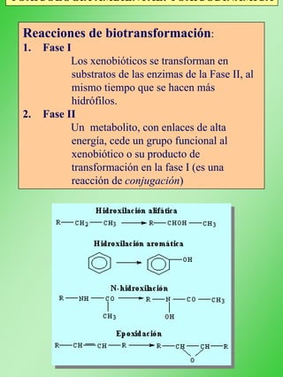 TOXICOLOGÍA AMBIENTAL: TOXICODINÁMICA
Reacciones de biotransformación:
1. Fase I
Los xenobióticos se transforman en
substratos de las enzimas de la Fase II, al
mismo tiempo que se hacen más
hidrófilos.
2. Fase II
Un metabolito, con enlaces de alta
energía, cede un grupo funcional al
xenobiótico o su producto de
transformación en la fase I (es una
reacción de conjugación)
Reacciones comunes de oxidación en la Fase I
 