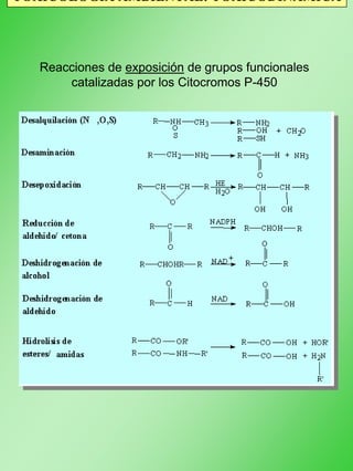 TOXICOLOGÍA AMBIENTAL: TOXICODINÁMICA
Reacciones de exposición de grupos funcionales
catalizadas por los Citocromos P-450
 