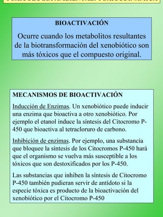 TOXICOLOGÍA AMBIENTAL: TOXICODINÁMICA
BIOACTIVACIÓN
Ocurre cuando los metabolitos resultantes
de la biotransformación del xenobiótico son
más tóxicos que el compuesto original.
MECANISMOS DE BIOACTIVACIÓN
Inducción de Enzimas. Un xenobiótico puede inducir
una enzima que bioactiva a otro xenobiótico. Por
ejemplo el etanol induce la síntesis del Citocromo P-
450 que bioactiva al tetracloruro de carbono.
Inhibición de enzimas. Por ejemplo, una substancia
que bloquee la síntesis de los Citocromos P-450 hará
que el organismo se vuelva más susceptible a los
tóxicos que son destoxificados por los P-450.
Las substancias que inhiben la síntesis de Citocromo
P-450 también pudieran servir de antídoto si la
especie tóxica es producto de la bioactivación del
xenobiótico por el Citocromo P-450
 