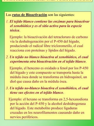 Las rutas de Bioactivación son las siguientes:
1. El tejido blanco contiene las enzimas para bioactivar
el xenobiótico y es el sitio activo para la especie
tóxica.
Ejemplo: la bioactivación del tetracloruro de carbono
vía la deshalogenación por el P-450 del hígado,
produciendo el radical libre triclorometilo, el cual
reacciona con proteínas y lípidos del hígado.
2. Un tejido no blanco bioactiva al xenobiótico, el cual
experimenta otra bioactivación en el tejido blanco.
Ejemplo, el benceno es oxidado a fenol por los P-450
del hígado y este compuesto se transporta hasta la
médula ósea donde se transforma en hidroquinol, un
diol que causa daño en la médula ósea.
3. Un tejido no-blanco bioactiva el xenobiótico, el cual
tiene sus efectos en el tejido blanco.
Ejemplo: el hexano se transforma en 2,5-hexanodiona
por la acción del P-450 y la alcohol deshidrogenasa
del hígado. Este metabolito produce ligaduras
cruzadas en los neurofilamentos causando daño en
nervios periféricos.
TOXICOLOGÍA AMBIENTAL: TOXICODINÁMICA
 