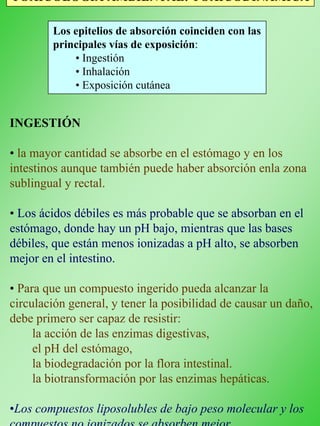 TOXICOLOGÍA AMBIENTAL: TOXICODINÁMICA
Los epitelios de absorción coinciden con las
principales vías de exposición:
• Ingestión
• Inhalación
• Exposición cutánea
INGESTIÓN
• la mayor cantidad se absorbe en el estómago y en los
intestinos aunque también puede haber absorción enla zona
sublingual y rectal.
• Los ácidos débiles es más probable que se absorban en el
estómago, donde hay un pH bajo, mientras que las bases
débiles, que están menos ionizadas a pH alto, se absorben
mejor en el intestino.
• Para que un compuesto ingerido pueda alcanzar la
circulación general, y tener la posibilidad de causar un daño,
debe primero ser capaz de resistir:
la acción de las enzimas digestivas,
el pH del estómago,
la biodegradación por la flora intestinal.
la biotransformación por las enzimas hepáticas.
•Los compuestos liposolubles de bajo peso molecular y los
compuestos no ionizados se absorben mejor.
 