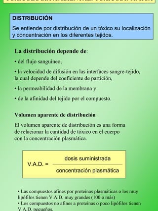 TOXICOLOGÍA AMBIENTAL: TOXICODINÁMICA
DISTRIBUCIÓN
Se entiende por distribución de un tóxico su localización
y concentración en los diferentes tejidos.
La distribución depende de:
• del flujo sanguíneo,
• la velocidad de difusión en las interfaces sangre-tejido,
la cual depende del coeficiente de partición,
• la permeabilidad de la membrana y
• de la afinidad del tejido por el compuesto.
Volumen aparente de distribución
El volumen aparente de distribución es una forma
de relacionar la cantidad de tóxico en el cuerpo
con la concentración plasmática.
V.A.D. =
dosis suministrada
concentración plasmática
• Las compuestos afines por proteínas plasmáticas o los muy
lipófilos tienen V.A.D. muy grandes (100 o más)
• Los compuestos no afines a proteínas o poco lipófilos tienen
V.A.D. pequeños.
 