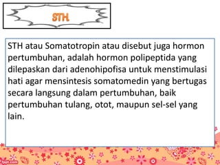 STH atau Somatotropin atau disebut juga hormon
pertumbuhan, adalah hormon polipeptida yang
dilepaskan dari adenohipofisa untuk menstimulasi
hati agar mensintesis somatomedin yang bertugas
secara langsung dalam pertumbuhan, baik
pertumbuhan tulang, otot, maupun sel-sel yang
lain.
 