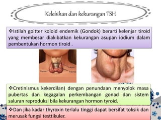 Kelebihan dan kekurangan TSH
Istilah goitter koloid endemik (Gondok) berarti kelenjar tiroid
yang membesar diakibatkan kekurangan asupan iodium dalam
pembentukan hormon tiroid .
Cretinismus kekerdilan) dengan penundaan menyolok masa
pubertas dan kegagalan perkembangan gonad dan sistem
saluran reproduksi bila kekurangan hormon tyroid.
Dan jika kadar thyroxin terlalu tinggi dapat bersifat toksik dan
merusak fungsi testtikuler.
 