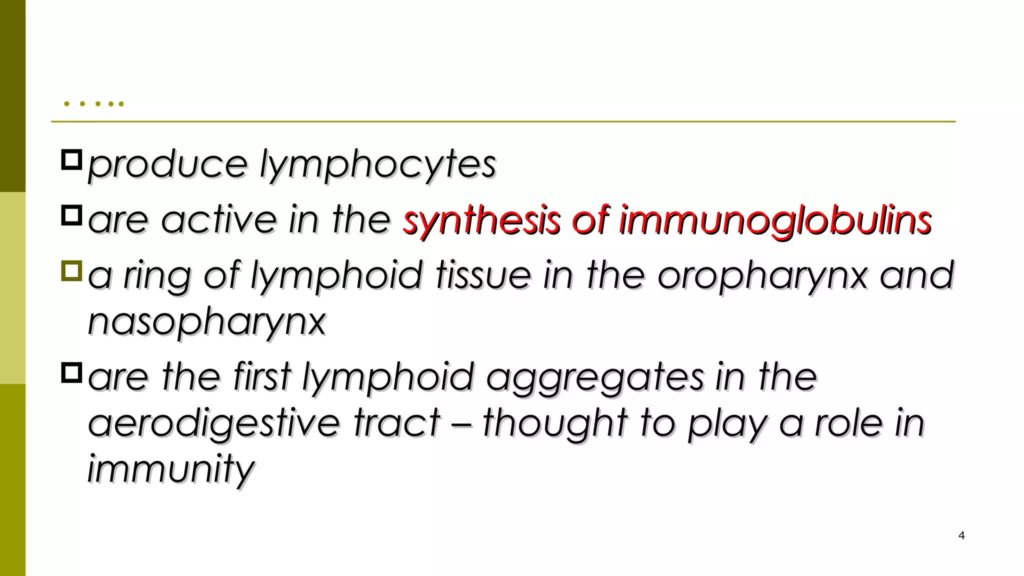 …..
produce lymphocytesproduce lymphocytes
are active in theare active in the synthesis of immunoglobulinssynthesis of immunoglobulins
a ring of lymphoid tissue in the oropharynx anda ring of lymphoid tissue in the oropharynx and
nasopharynxnasopharynx
are the first lymphoid aggregates in theare the first lymphoid aggregates in the
aerodigestive tract – thought to play a role inaerodigestive tract – thought to play a role in
immunityimmunity
4
 
