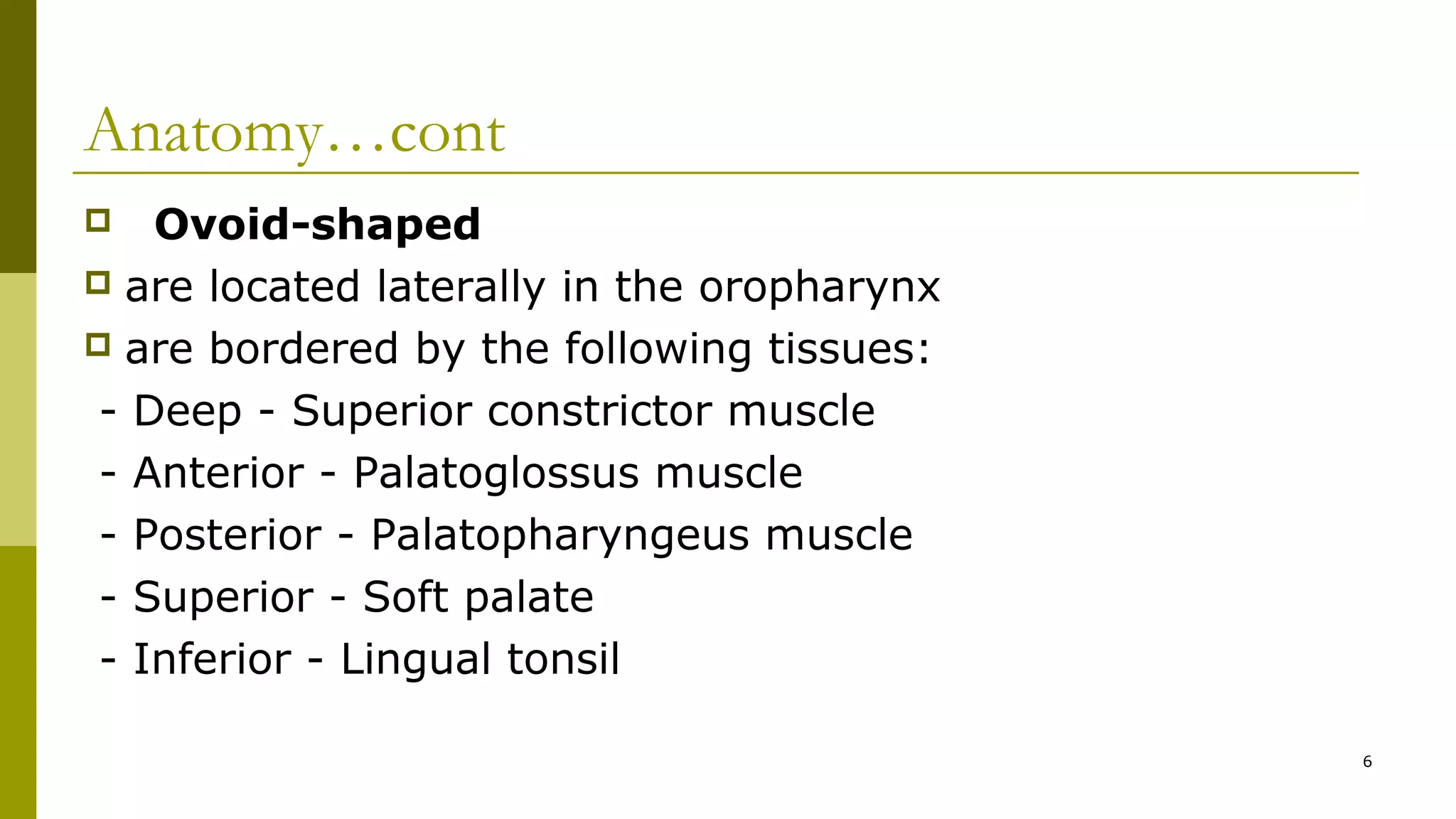  Ovoid-shaped
 are located laterally in the oropharynx
 are bordered by the following tissues:
- Deep - Superior constrictor muscle
- Anterior - Palatoglossus muscle
- Posterior - Palatopharyngeus muscle
- Superior - Soft palate
- Inferior - Lingual tonsil
Anatomy…cont
6
 