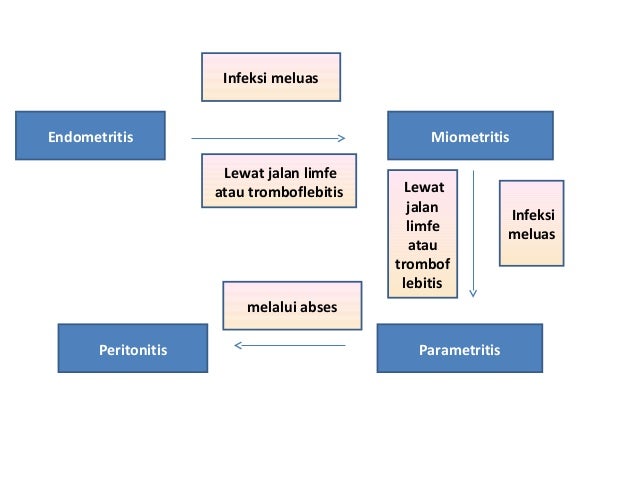 5. parametritis & pelviksitis