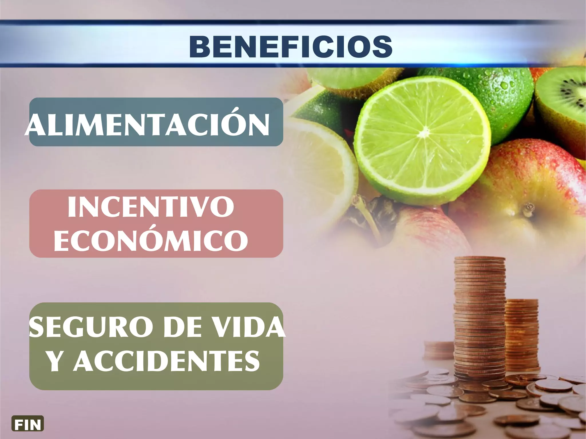 BENEFICIOS
ALIMENTACIÓN
INCENTIVO
ECONÓMICO
SEGURO DE VIDA
Y ACCIDENTES
FIN