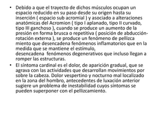 • Debido a que el trayecto de dichos músculos ocupan un
espacio reducido en su paso desde su origen hasta su
inserción ( espacio sub acromial ) y asociado a alteraciones
anatómicas del Acromion ( tipo I aplanado, tipo II curvado,
tipo III ganchoso ), cuando se produce un aumento de la
presión en forma brusca o repetitiva ( posición de abducción-
rotación externa ), se produce un fenómeno de pellizca
miento que desencadena fenómenos inflamatorios que en la
medida que se mantiene el estímulo,
desencadena fenómenos degenerativos que incluso llegan a
romper las estructuras.
• El síntoma cardinal es el dolor, de aparición gradual, que se
agrava con las actividades que desarrollan movimientos por
sobre la cabeza. Dolor vespertino y nocturno mal localizado
en la zona del hombro, antecedentes de luxación anterior
sugiere un problema de inestabilidad cuyos síntomas se
pueden superponer con el pellizcamiento.
 
