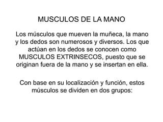 MUSCULOS DE LA MANO
Los músculos que mueven la muñeca, la mano
y los dedos son numerosos y diversos. Los que
actúan en los dedos se conocen como
MUSCULOS EXTRINSECOS, puesto que se
originan fuera de la mano y se insertan en ella.
Con base en su localización y función, estos
músculos se dividen en dos grupos:
 