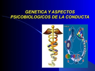 GENETICA Y ASPECTOSGENETICA Y ASPECTOS
PSICOBIOLOGICOS DE LA CONDUCTAPSICOBIOLOGICOS DE LA CONDUCTA
 