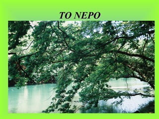 ΤΟ ΝΕΡΟΤΟ ΝΕΡΟ
 