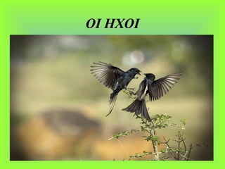 ΟΙ ΗΧΟΙΟΙ ΗΧΟΙ
 