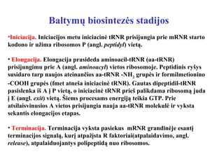 Baltymų biosintezės stadijos
•Iniciacija. Iniciacijos metu iniciacinė tRNR prisijungia prie mRNR starto
kodono ir užima ribosomos P (angl. peptidyl) vietą.
• Elongacija. Elongacija prasideda aminoacil-tRNR (aa-tRNR)
prisijungimu prie A (angl. aminoacyl) vietos ribosomoje. Peptidinis ryšys
susidaro tarp naujos ateinančios aa-tRNR -NH2
grupės ir formilmetionino
-COOH grupės (fmet atneša iniciacinė tRNR). Gautas dipeptidil-tRNR
pasislenka iš A į P vietą, o iniciacinė tRNR prieš palikdama ribosomą juda
į E (angl. exit) vietą. Šiems procesams energiją teikia GTP. Prie
atsilaisvinusios A vietos prisijungia nauja aa-tRNR molekulė ir vyksta
sekantis elongacijos etapas.
• Terminacija. Terminacija vyksta pasiekus mRNR grandinėje esantį
terminacijos signalą, kurį atpažįsta R faktoriai(atpalaidavimo, angl.
release), atpalaiduojantys polipeptidą nuo ribosomos.
 