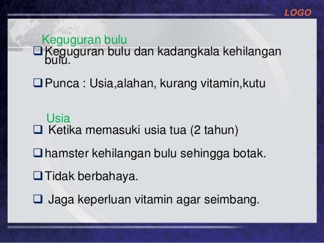 Pengurusan dan penjagaan harian haiwan kesayangan