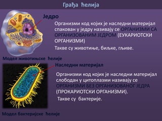 Celija | PPT