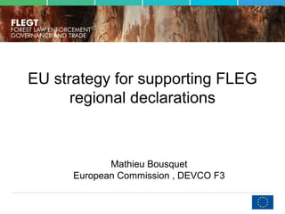 EU strategy for supporting FLEG
regional declarations
Mathieu Bousquet
European Commission , DEVCO F3
 