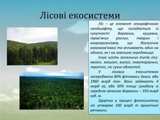 Лісові екосистеми
Ліс – це елемент географічного
ландшафту, що складається із
сукупності деревних, кущових,
трав’яних рослин, тварин і
мікроорганізмів, що біологічно
взаємозв’язані та впливають один на
одного, як і на зовнішнє середовище.
Існує шість зональних типів лісу:
хвойні, змішані, вологі, екваторіальні,
тропічні, ліс сухих областей.
У лісових екосистемах
зосереджено 80% фітомаси Землі, або
1960 млрд тон. Вони займають 4
млрд га, або 30% площі суходолу із
середнім запасом деревини – 350 млрд
куб. м.
Щорічно в процесі фотосинтезу
ліс утворює 100 млрд т органічної
речовини.
 