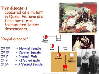 111
This disease is
appeared as a mutant
in Queen Victoria and
from her it was
transmitted to her
descendants.
“Royal disease”
XH XH - Normal female
XH Xh - Carrier female
XH Y - Normal Male
Xh Y - Affected male
Xh Xh - Affected female
 