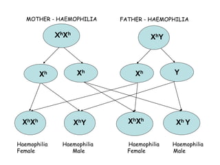 121
XhY
Xh Xh
Xh Y
XhXh
Xh YXhXh
XhY XhXh
MOTHER - HAEMOPHILIA FATHER - HAEMOPHILIA
Haemophilia Haemophilia Haemophilia Haemophilia
Female Male Female Male
 