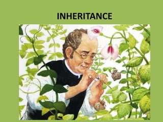 INHERITANCE
 