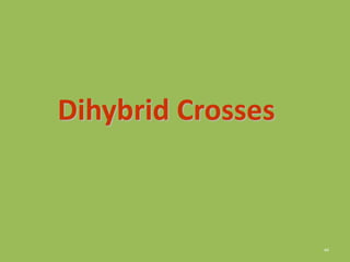 44
Dihybrid Crosses
 