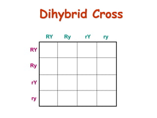 49
Dihybrid Cross
RY Ry rY ry
RY
Ry
rY
ry
 