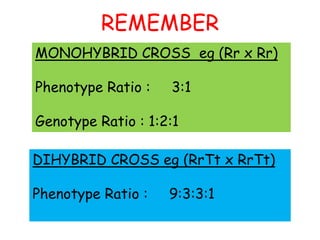 REMEMBER
52
MONOHYBRID CROSS eg (Rr x Rr)
Phenotype Ratio : 3:1
Genotype Ratio : 1:2:1
DIHYBRID CROSS eg (RrTt x RrTt)
Phenotype Ratio : 9:3:3:1
 