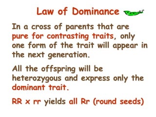 56
Law of Dominance
In a cross of parents that are
pure for contrasting traits, only
one form of the trait will appear in
the next generation.
All the offspring will be
heterozygous and express only the
dominant trait.
RR x rr yields all Rr (round seeds)
 