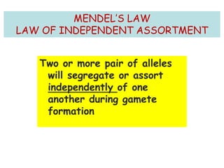 MENDEL’S LAW
LAW OF INDEPENDENT ASSORTMENT
Two or more pair of alleles
will segregate or assort
independently of one
another during gamete
formation
62
 
