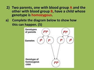 2) Two parents, one with blood group A and the
other with blood group B, have a child whose
genotype is homozygous.
a) Complete the diagram below to show how
this can happen. (5)
IoIo
Io Io
IAIo
IBIo
IBIA
 