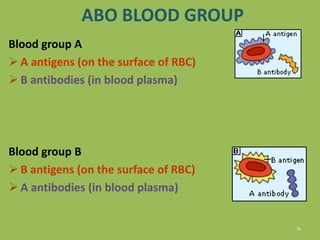 75
ABO BLOOD GROUP
Blood group A
 A antigens (on the surface of RBC)
 B antibodies (in blood plasma)
Blood group B
 B antigens (on the surface of RBC)
 A antibodies (in blood plasma)
 